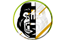 MFT  Centro Funcional